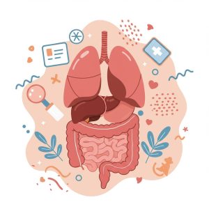 明明不胖卻有高血脂、高血糖？小心是「隱形肥胖」！了解內臟脂肪的驚人危害，透過簡單腰圍測量自我檢測。飲食、運動、作息調整，多管齊下有效減少內臟脂肪，擺脫健康危機。立即檢視生活習慣，擁抱健康人生！